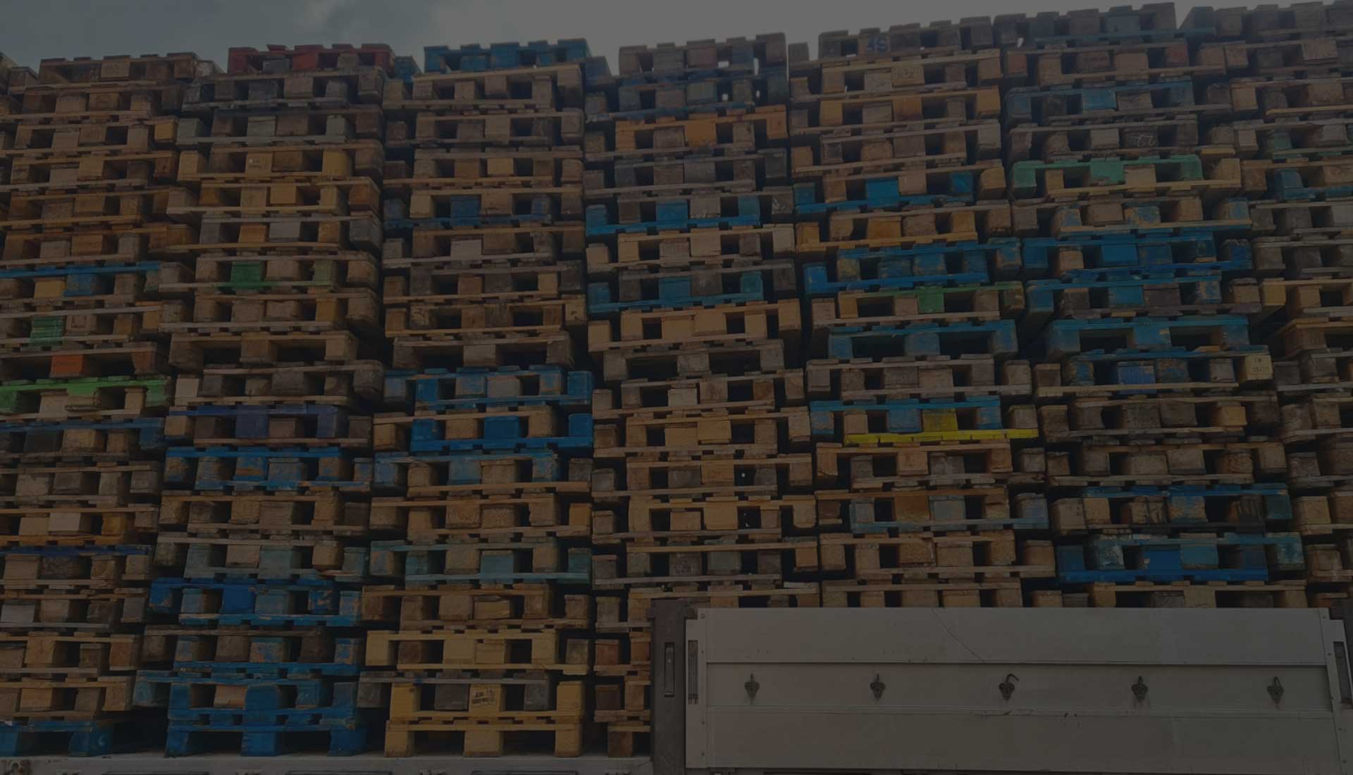 En Yakın Paletçiniz