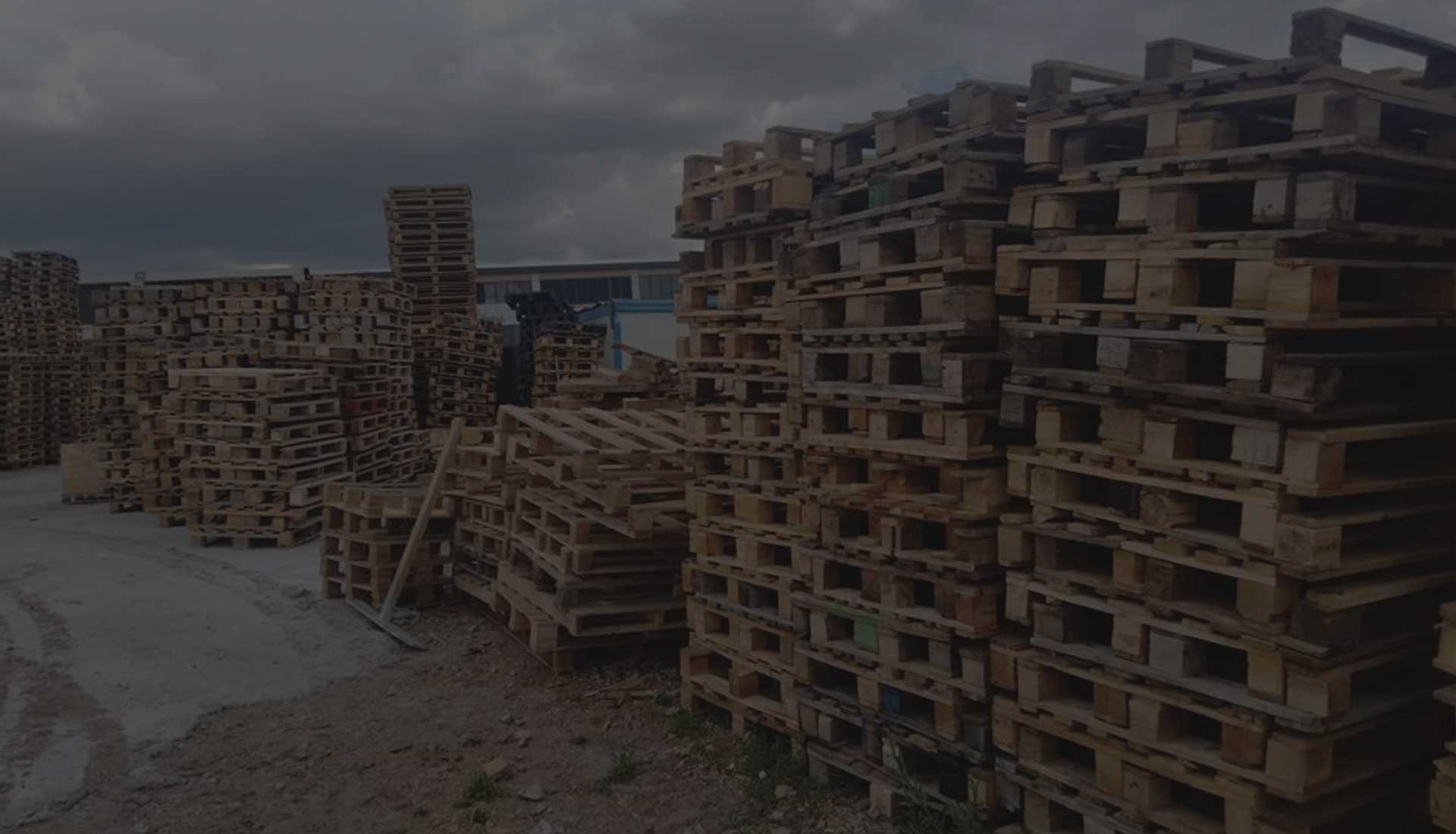 Avrupa Yakası Paletçi